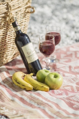 Nautilus Terra Peshtemal